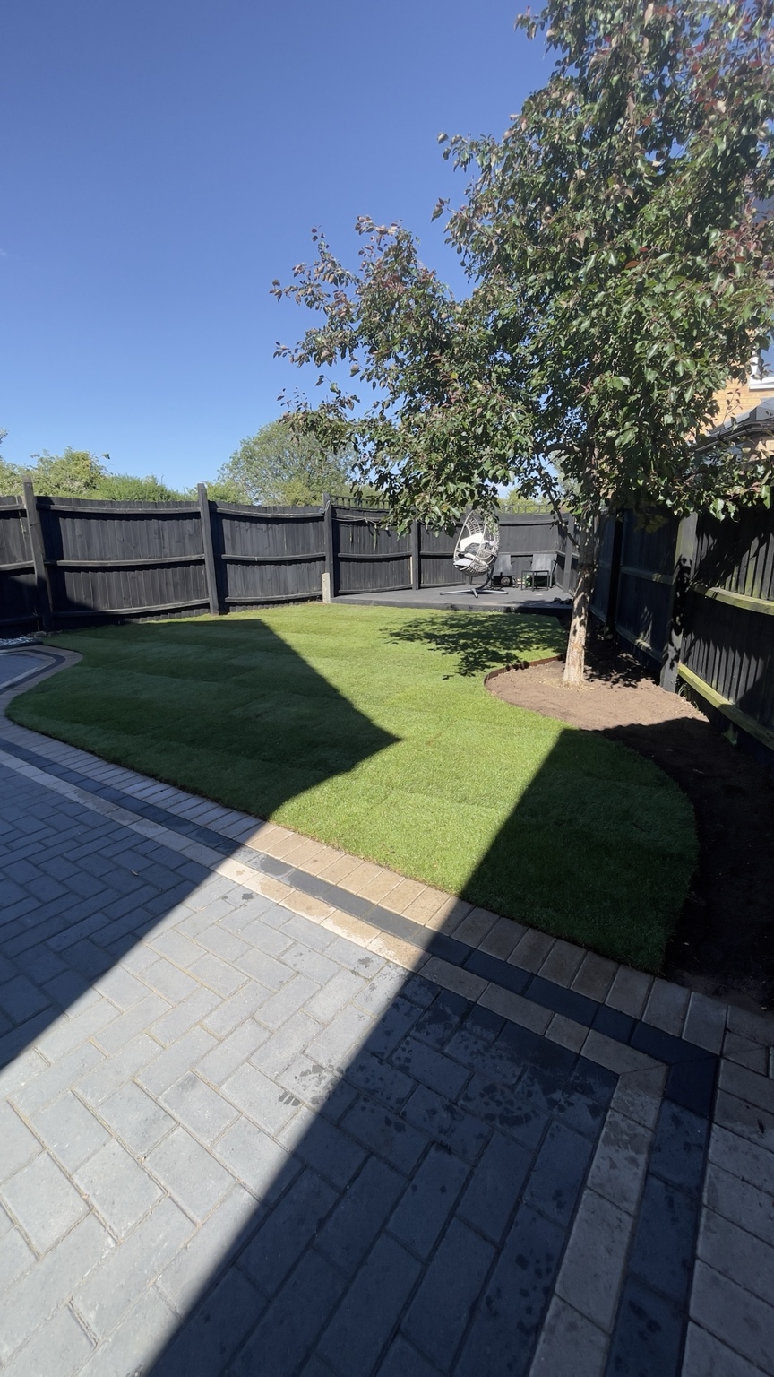 Garden lawn with a paved path and mature tree