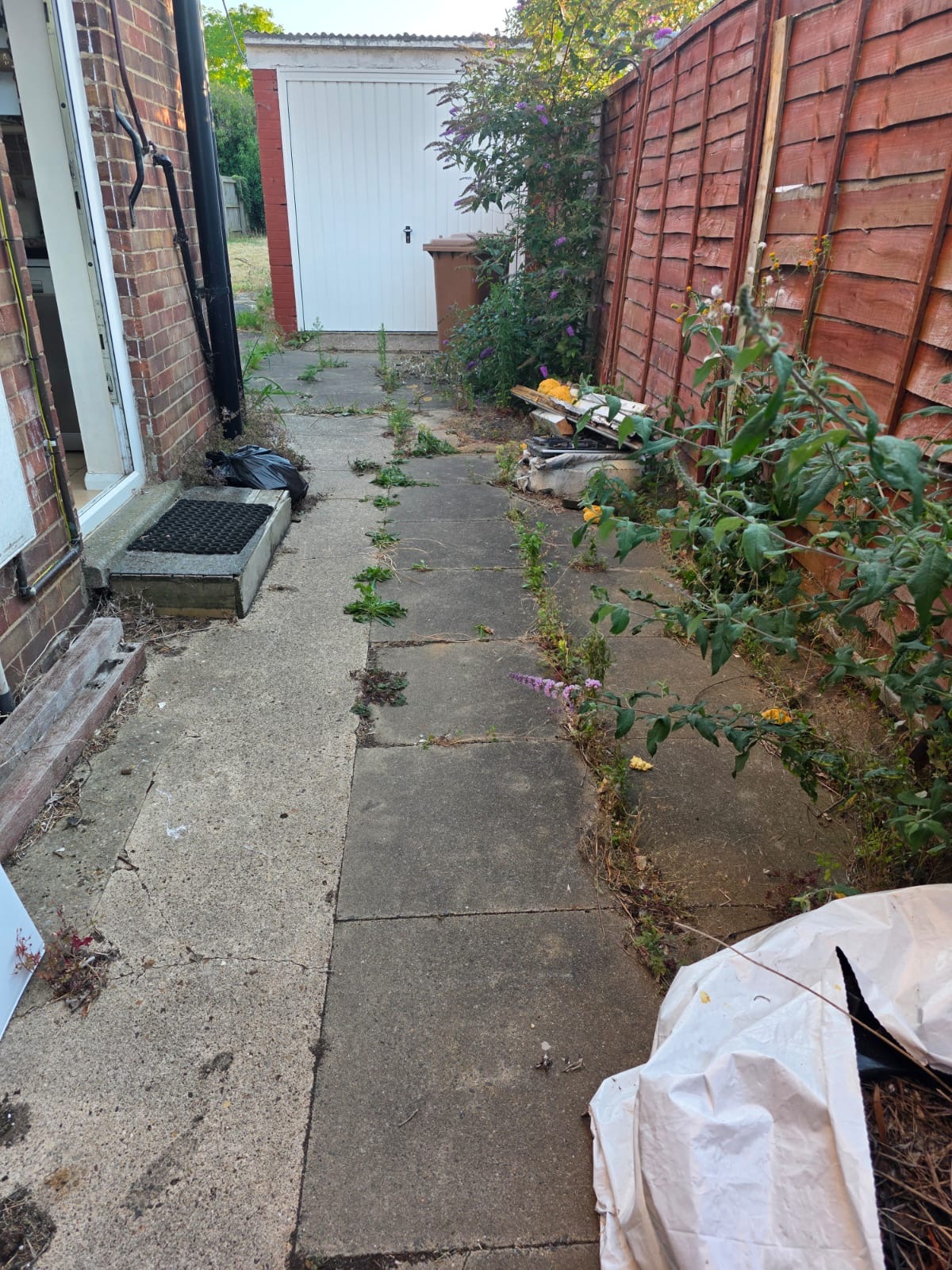 Side access before, with overgrown weeds and debris along the path
